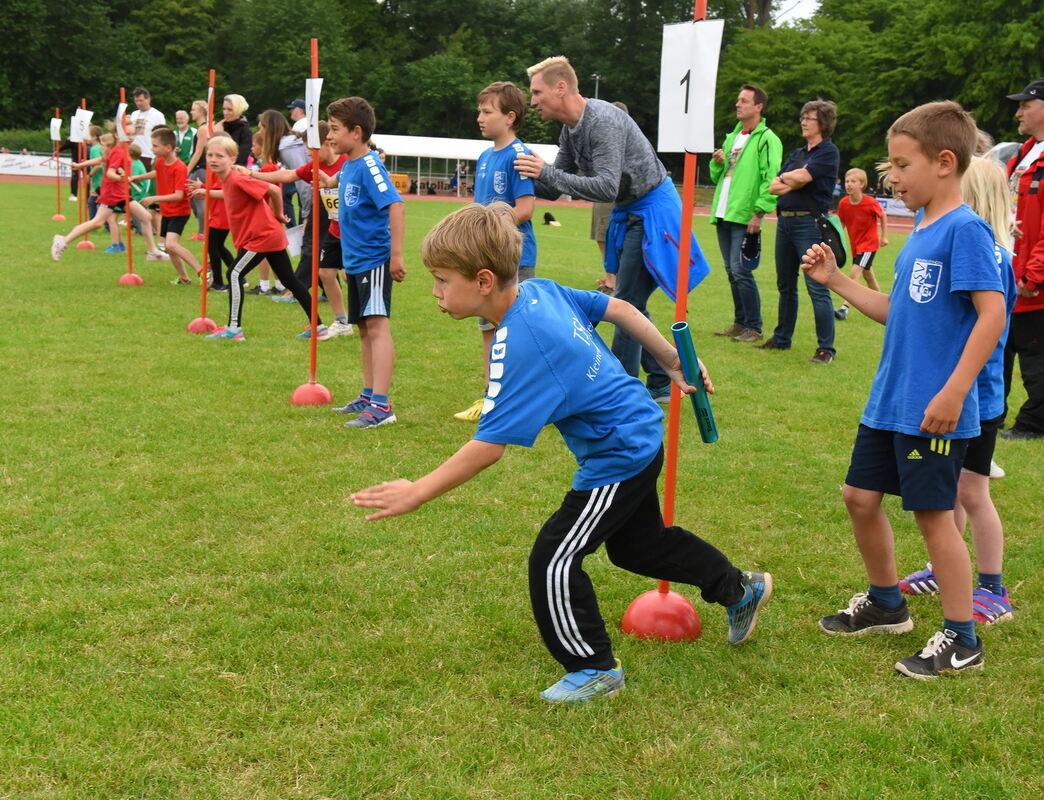 sport-1405-laeufer-meeting41 pacher_bildgröße ändern