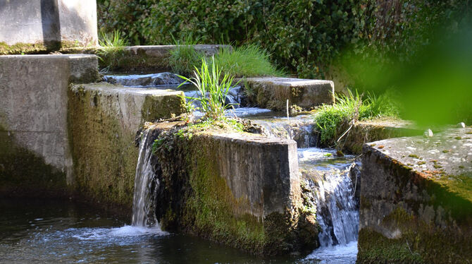 Idylle mitten in der Stadt: Wasserläufe an der Baumann’schen Mühle. FOTO: SAUTTER