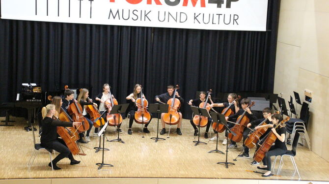 Fachbereichskonzert der Streicher der Musikschule Pliezhausen.  FOTO: PR