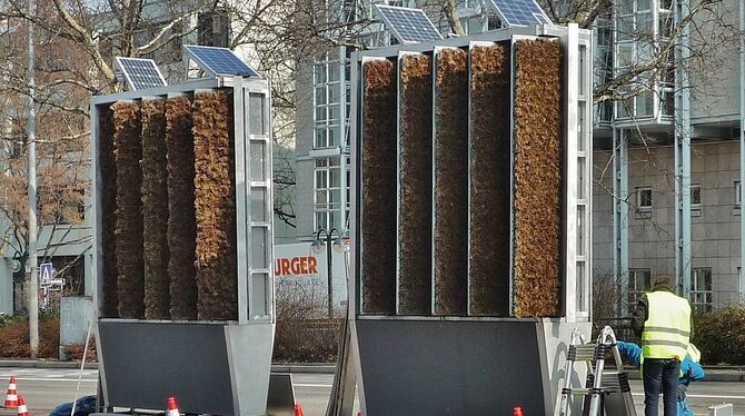 Werden abgebaut: Die Pflanzwände an der Lederstraße. Das Projekt sei »gescheitert«, teilt die Baubürgermeisterin mit.  FOTO: PR