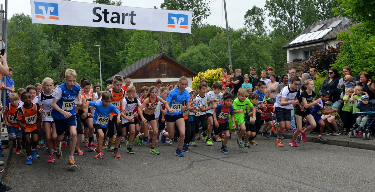 krtu-2205-1hannsesle lauf-niethammer