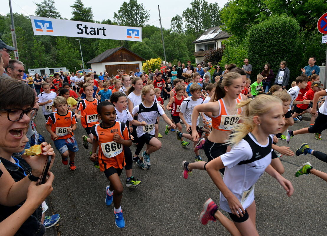 krtu-2205-2hannsesle lauf-niethammer