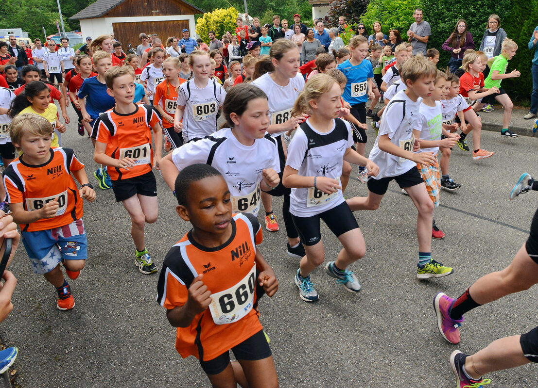 krtu-2205-3hannsesle lauf-niethammer