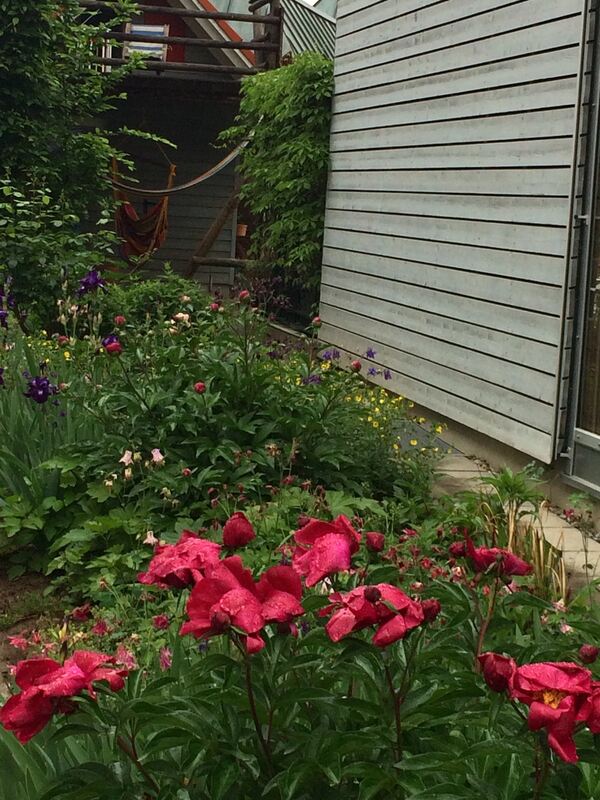 barbara gekeler, pfullingen