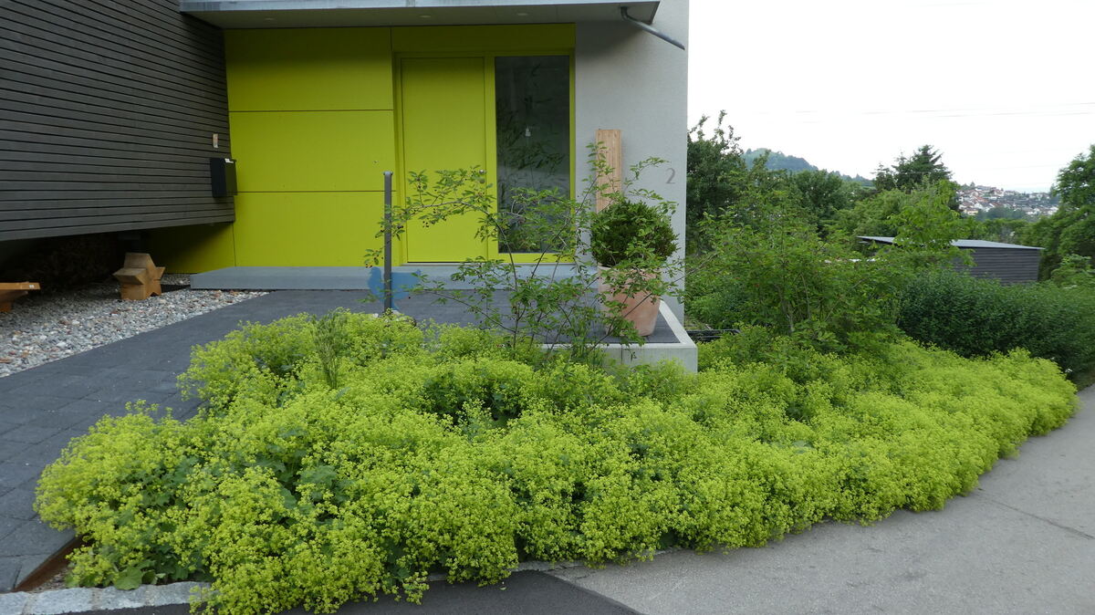 beate scherer, pfullingen