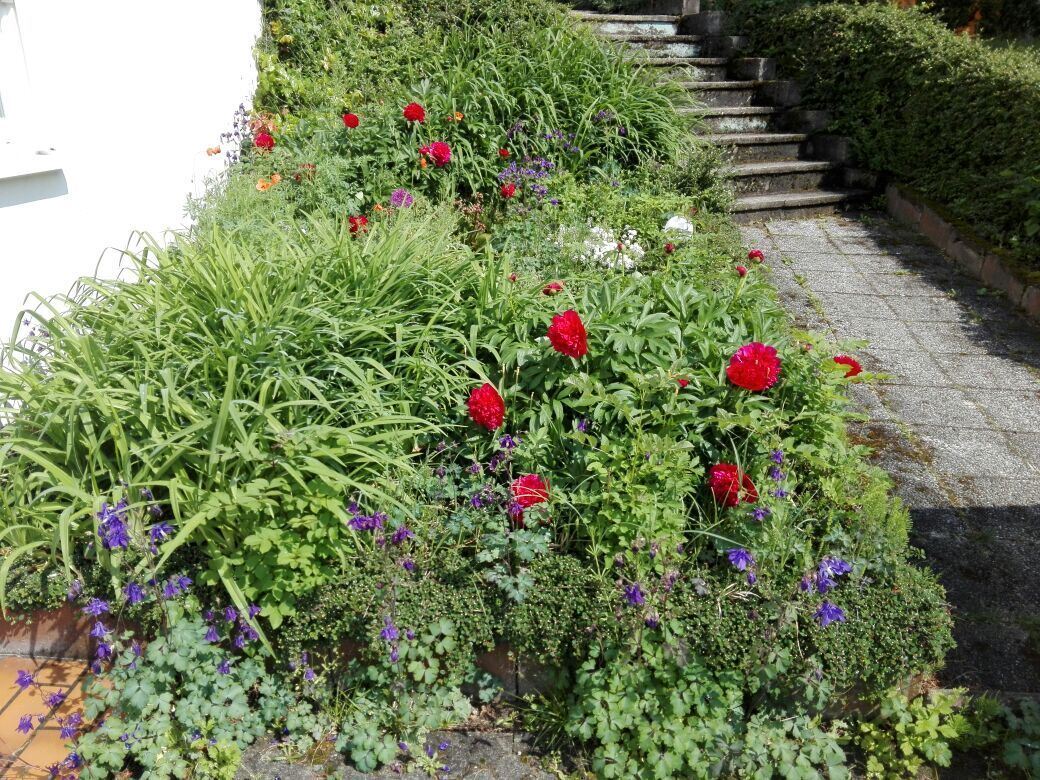 biggi friedrichs, sonnenbühl