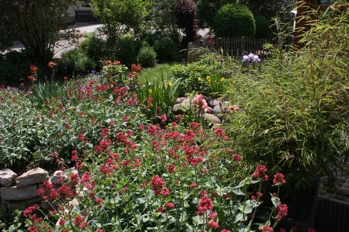 dorothea und hans-ulrich schneider, nehren