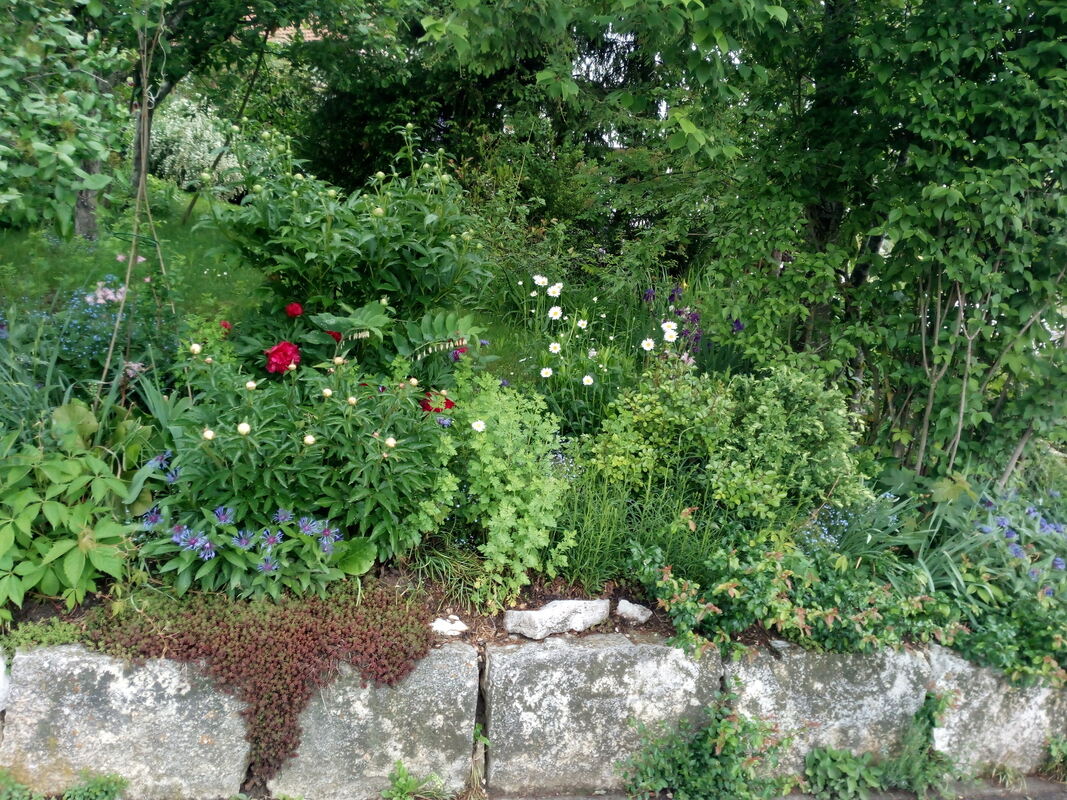 günter kurz, lichtenstein