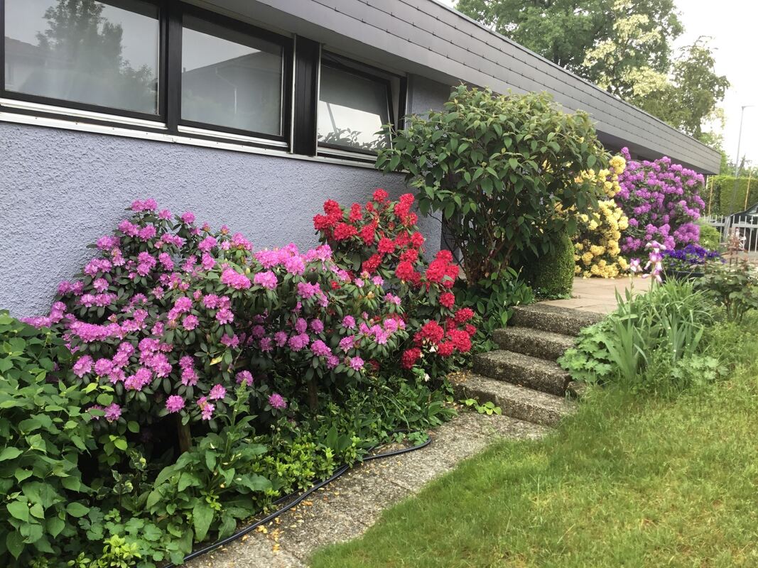 helga wohlfahrt, betzingen