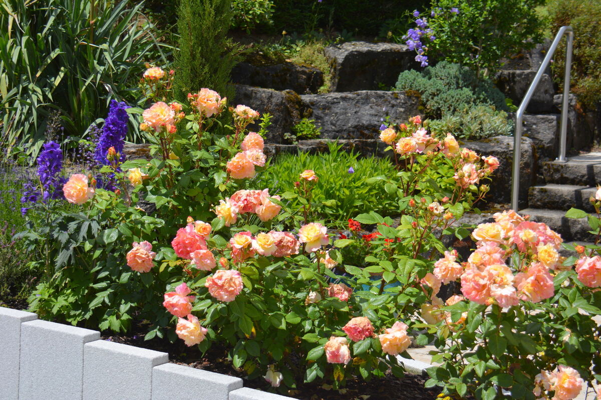 marga ensle, pfullingen