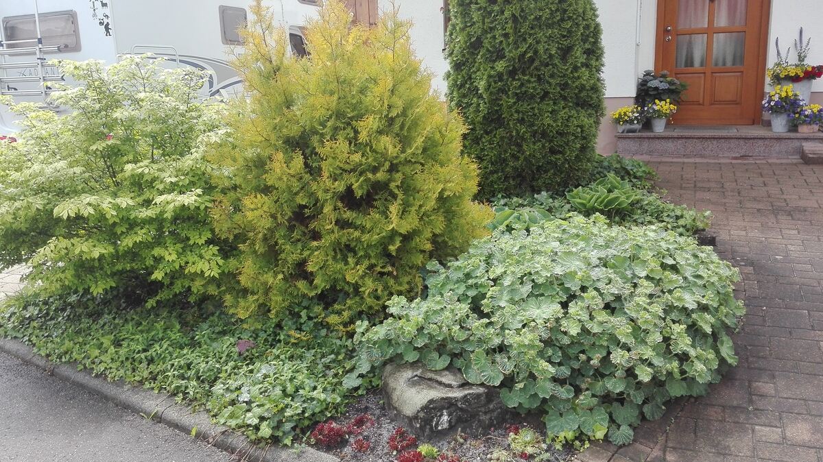 2 petra geist, trochtelfingen