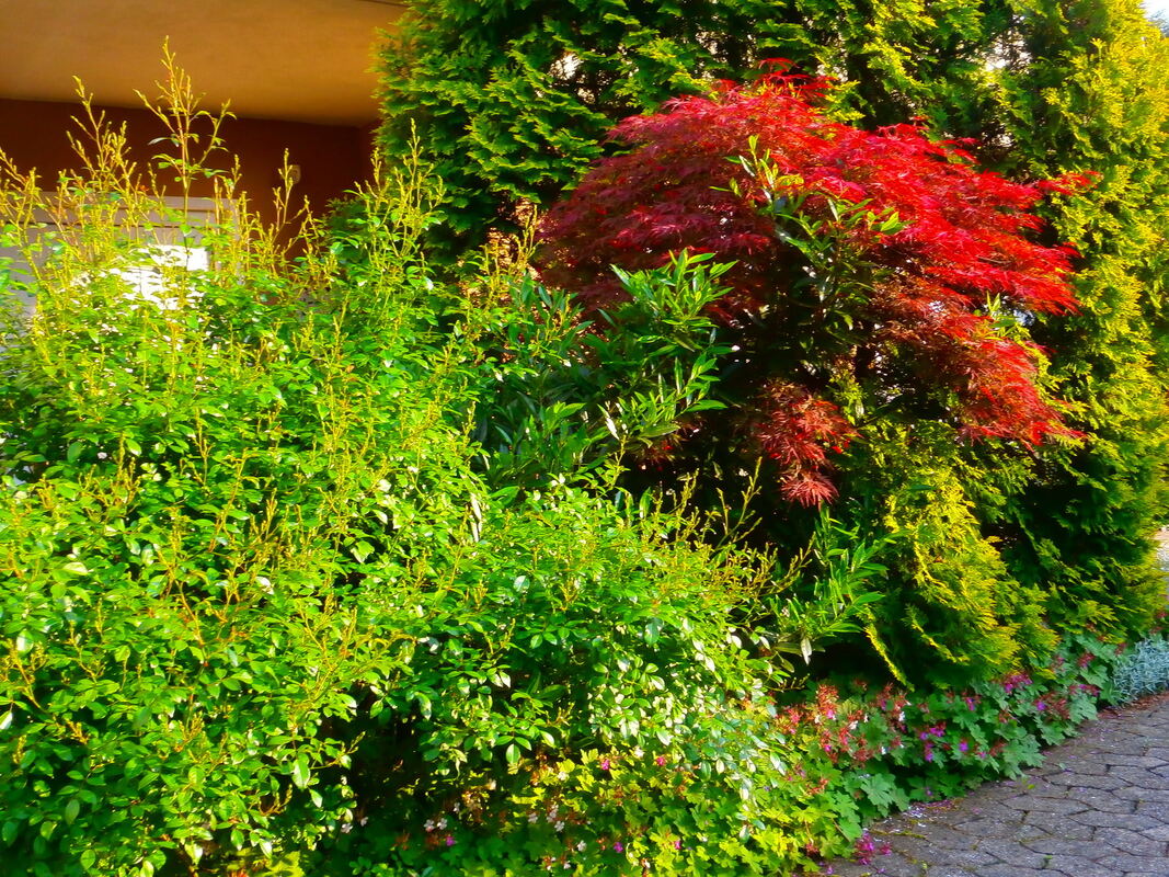 3brigitte döbereiner, dettingen