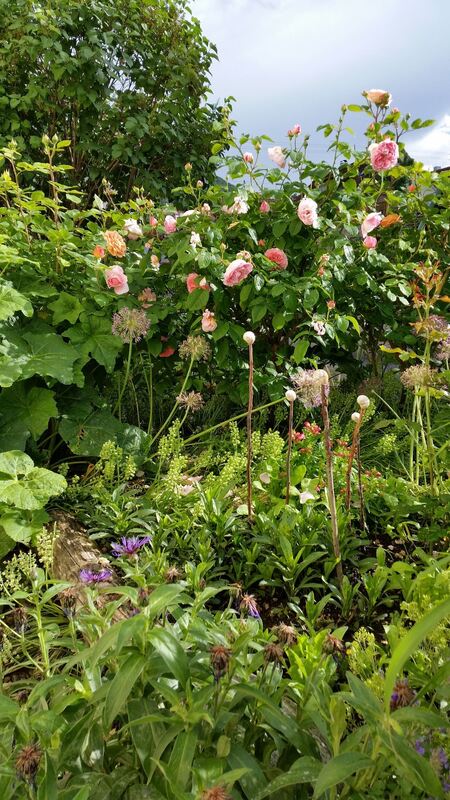 4monika altenhof-flohr, pfullingen