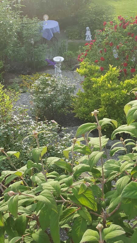 wolfgang bayer, eningen