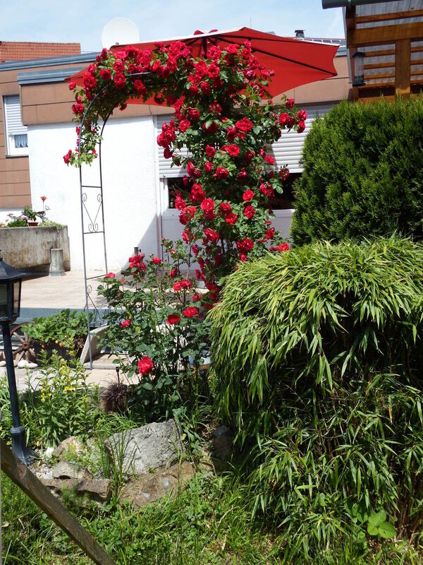 wolfgang heinkel, pliezhausen (2)