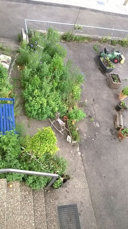 beate ellenberger und christian joks, rommelsbach1