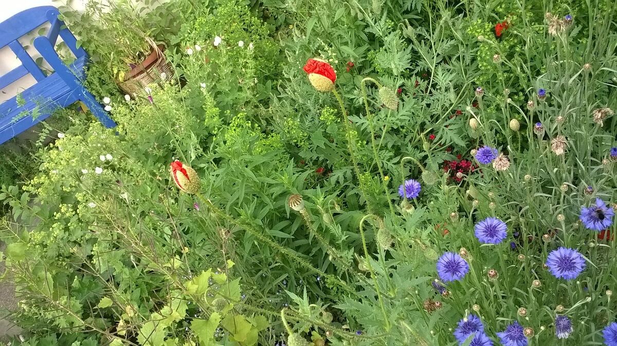 beate ellenberger und christian joks, rommelsbach2