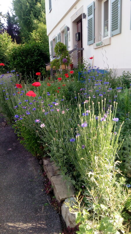 beate ellenberger und christian joks, rommelsbach3