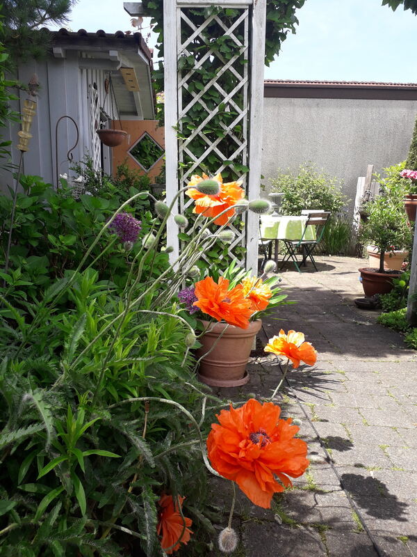 birgit bosch, lichtenstein