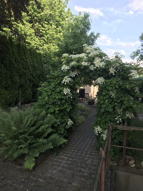 dagmar rall, wannweil