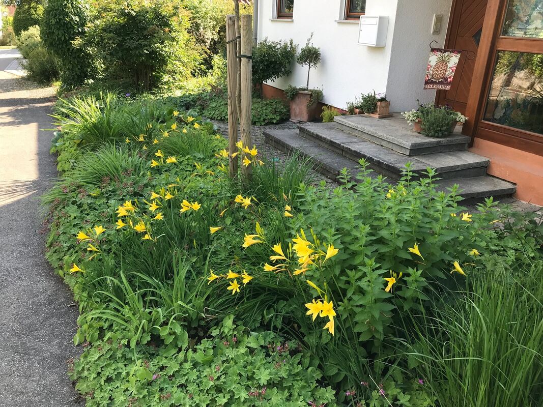 dorothea vollmer-jeggle, pliezhausen