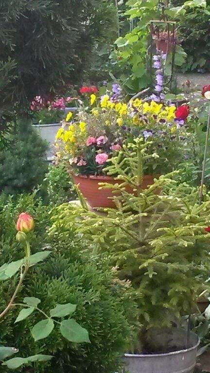 elke marliese stenneken, reutlingen