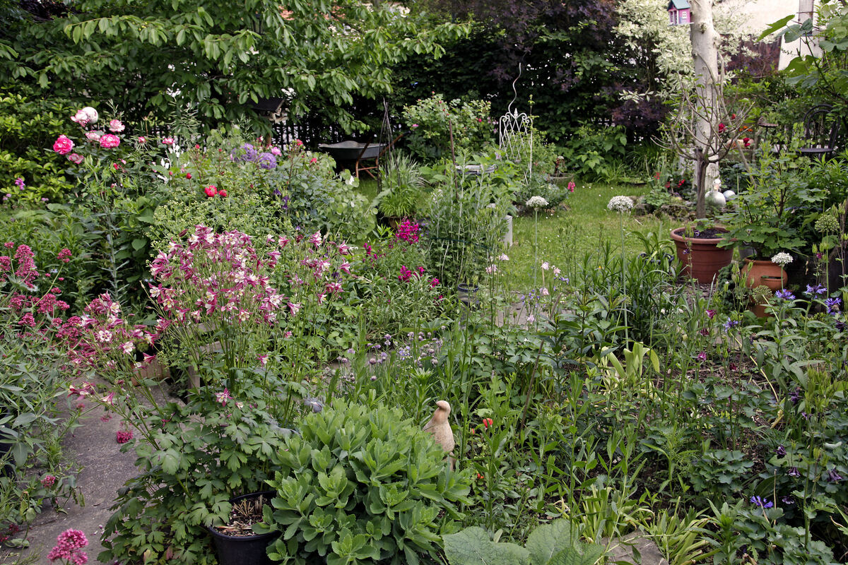 elke rösch, pliezhausen