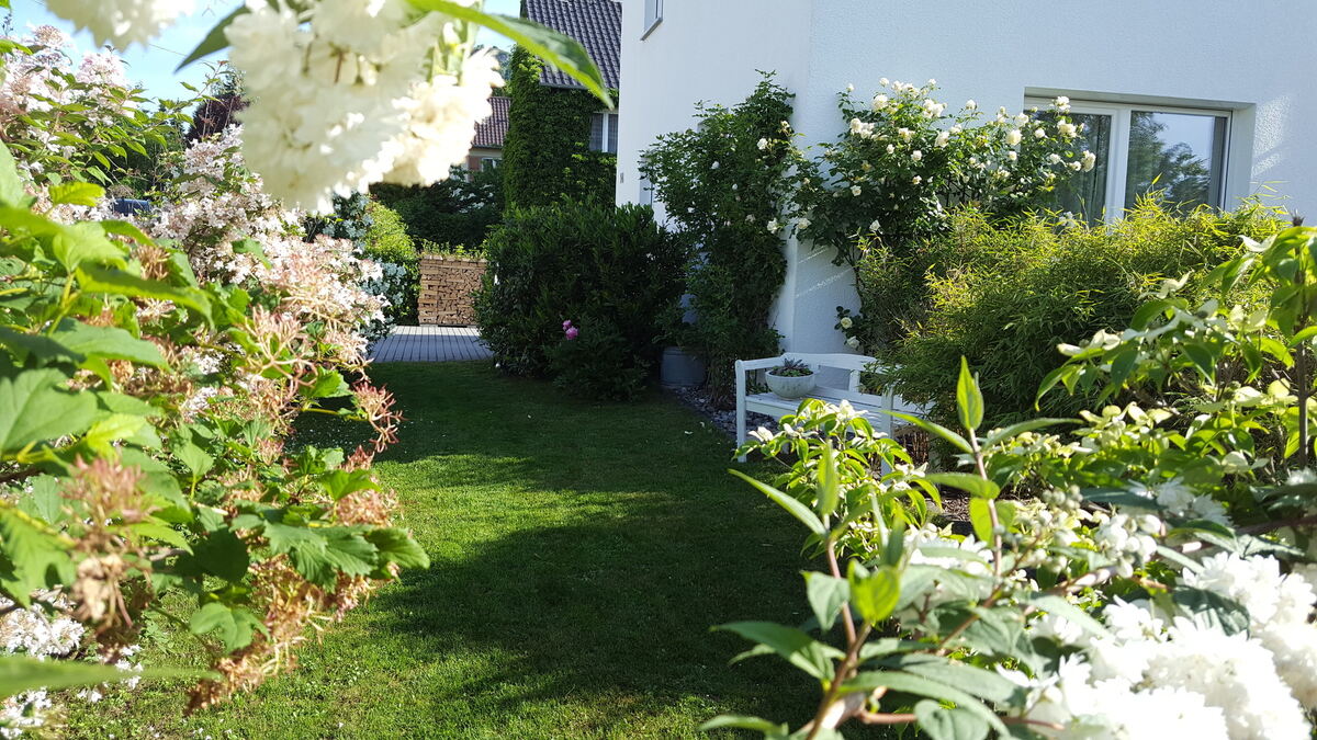 gerhard krebs, eningen