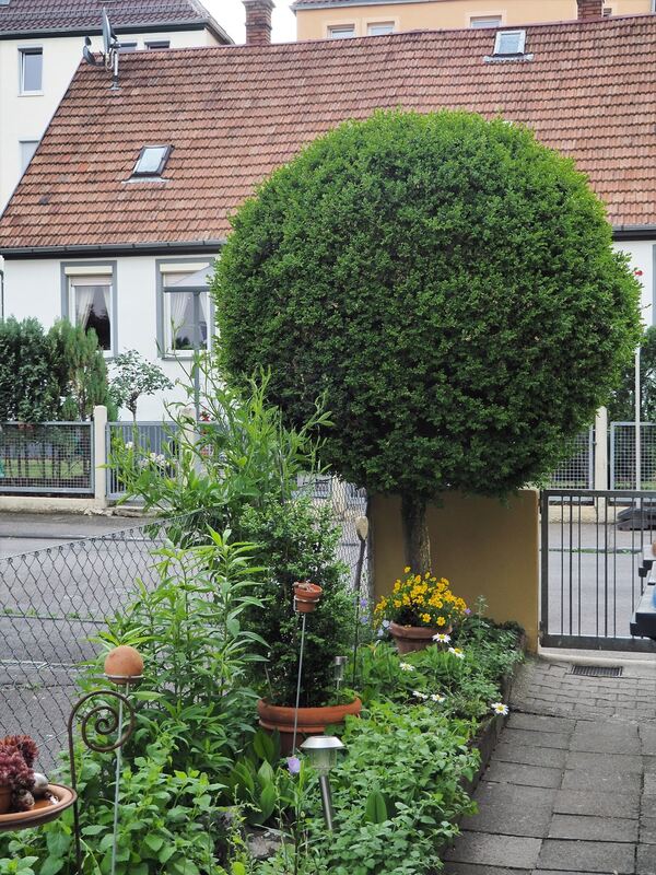 jutta döbert, reutlingen