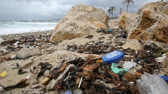 Müllproblem auf Mallorca