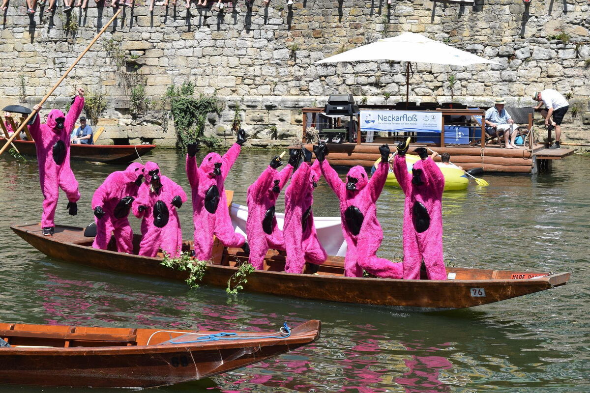 stocherkahnrennen_tuebingen_2018_38