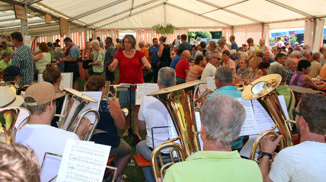 Schwungvolle Musik im vollen Festzelt beim Olgahöhlenfest.  FOTO: LEIPPERT