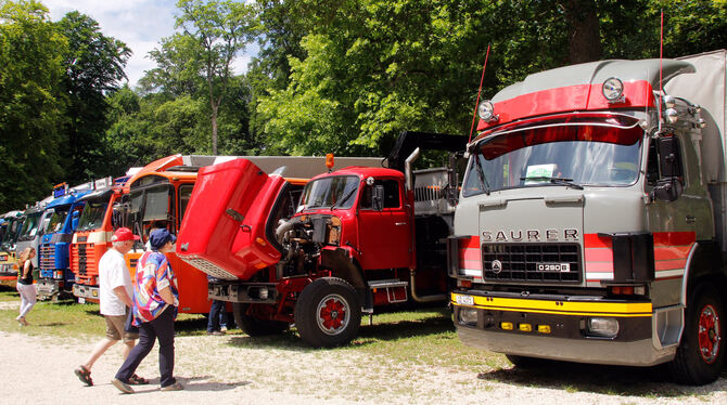 Schwergewichtige Oldtimer-Schönheiten sind noch bis Sonntag in Sonnenbühl an der Nebelhöhle zu bestaunen. FOTO: LEIPPERT Schwergewichtige Oldtimer-Schönheiten sind noch bis Sonntag in Sonnenbühl an der Nebelhöhle zu bestaunen. FOTO: LEIPPERT