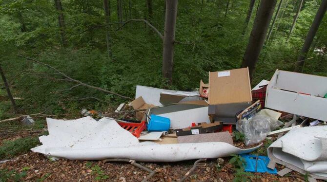 Illegal abgelagerter Müll an der Übersberg-Zufahrt.  FOTO: PRIVAT