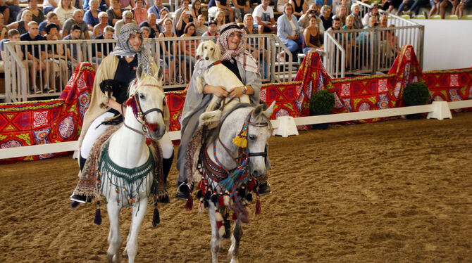 Ein Schauprogramm wie aus tausend und einer Nacht erlebten zahlreiche Besucher Tag des Arabischen Pferdes in Marbach. Meike und