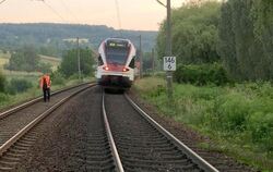 Regionalbahn rast in Schafherde