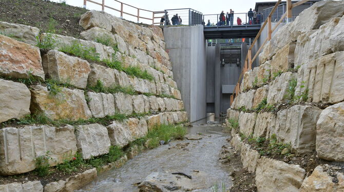 Das neue Hochwasserrückhaltebecken am Buchbach soll Belsen künftig vor Hochwasser schützen.  FOTO: MEYER