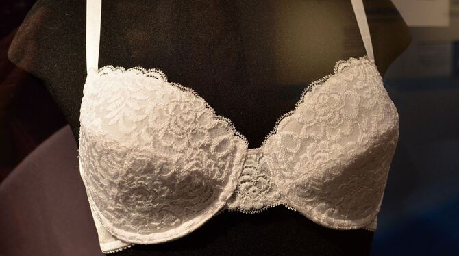 Naturana Museum Gomaringen Naturana Museum Gomaringen