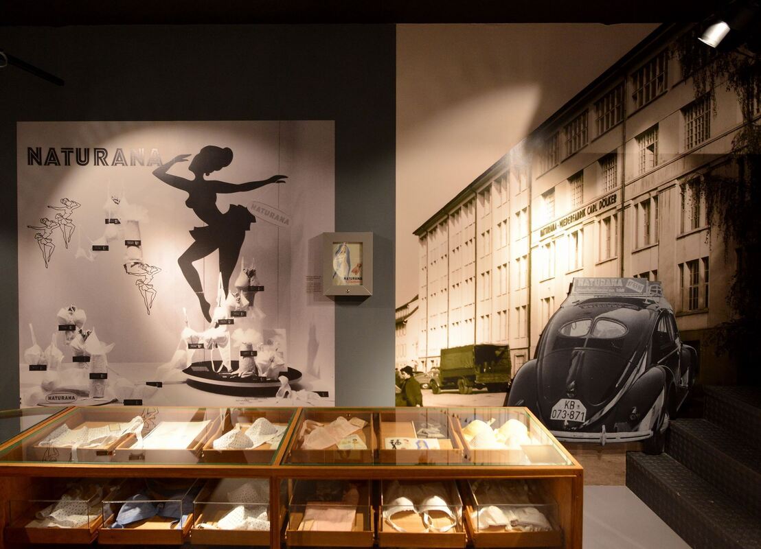 naturana_museum_gomaringen_niethammer_8