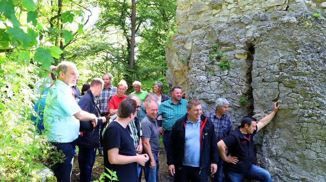 Jahrelang war die Ruine Hohenerpfingen vom Wald überwuchert und weitgehend in Vergessenheit geraten. Jetzt wurde sie freigeschni