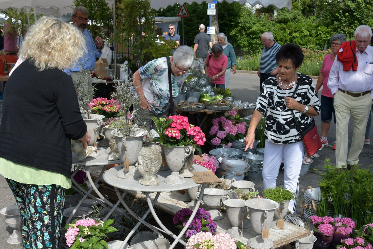 rosenmarkt_moessingen_meyer_2018_1