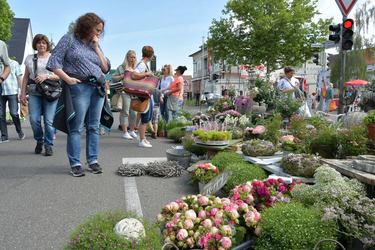 rosenmarkt_moessingen_meyer_2018_2