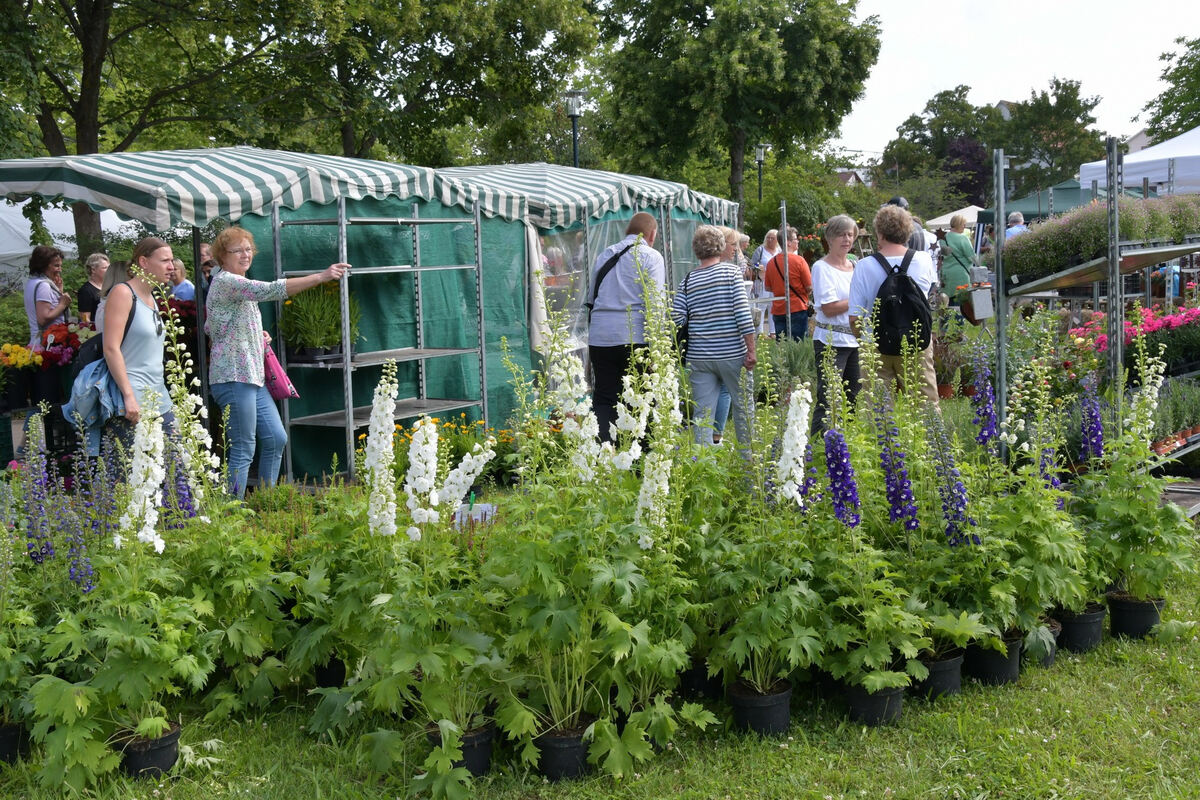 rosenmarkt_moessingen_meyer_2018_3