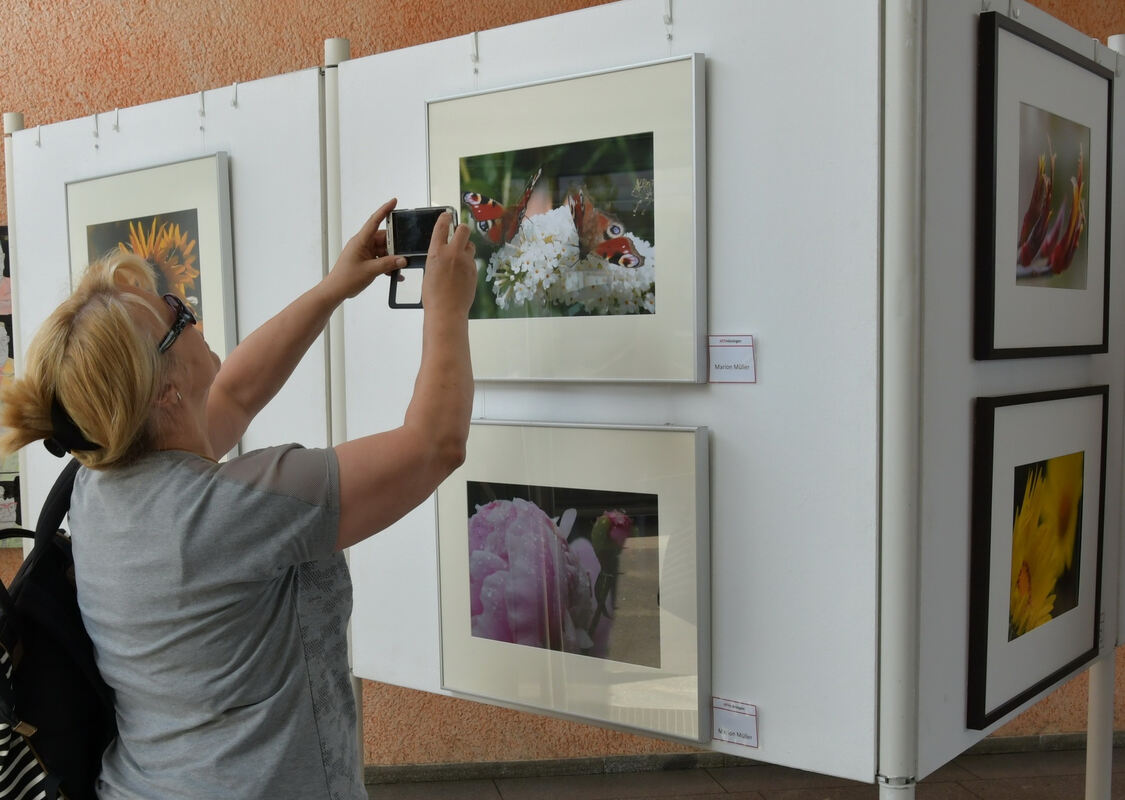 rosenmarkt_moessingen_meyer_2018_8