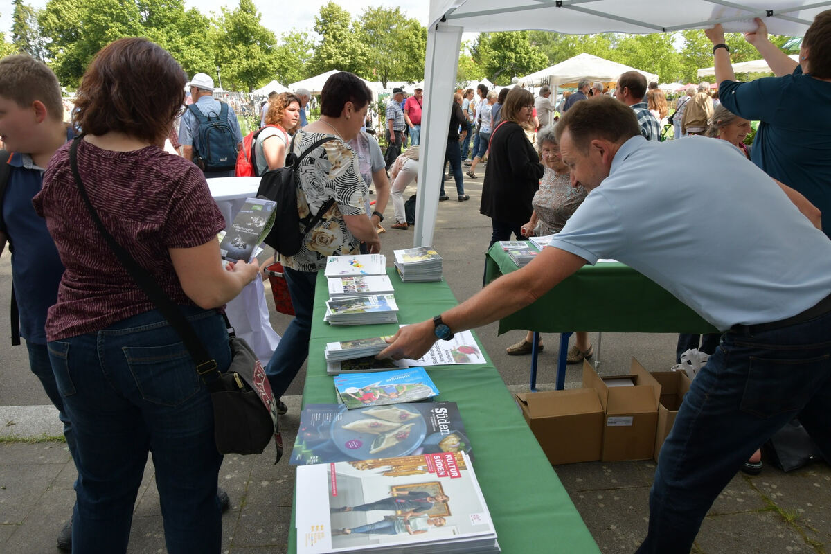 rosenmarkt_moessingen_meyer_2018_9