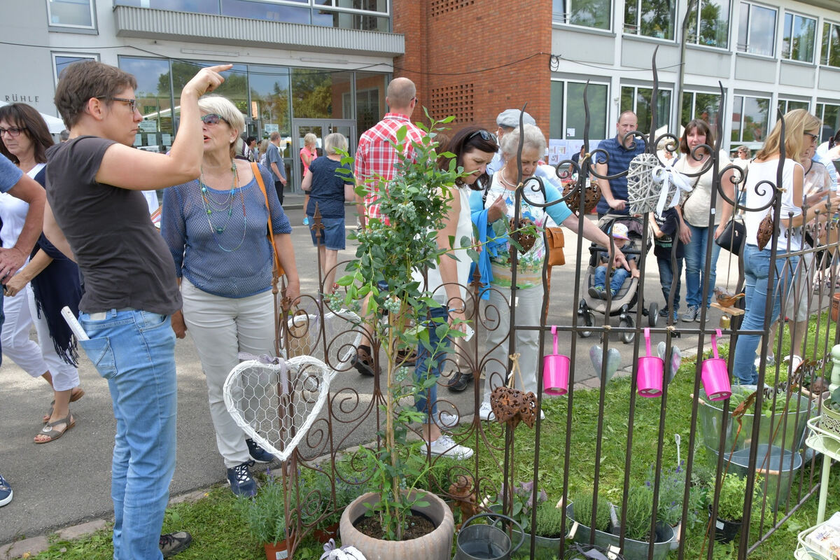 rosenmarkt_moessingen_meyer_2018_11