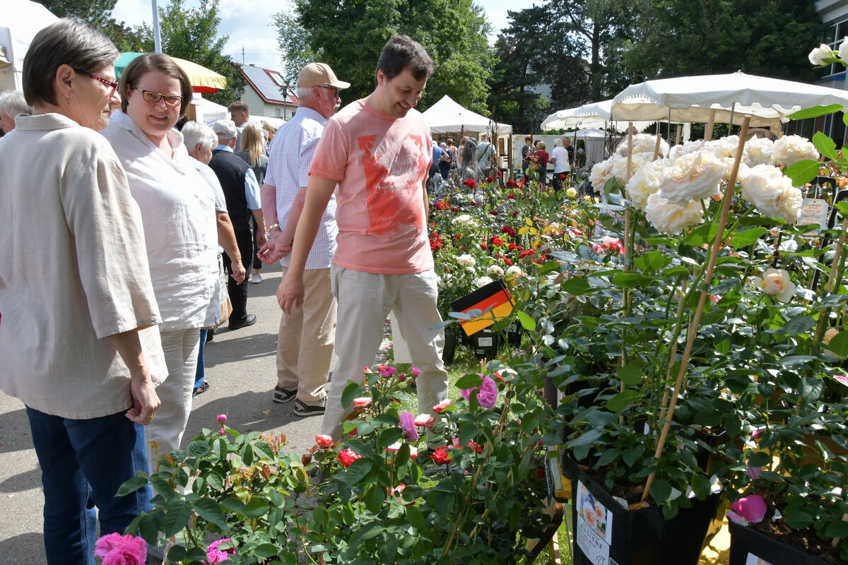 rosenmarkt_moessingen_meyer_2018_12