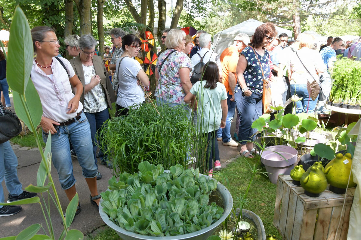 rosenmarkt_moessingen_meyer_2018_16