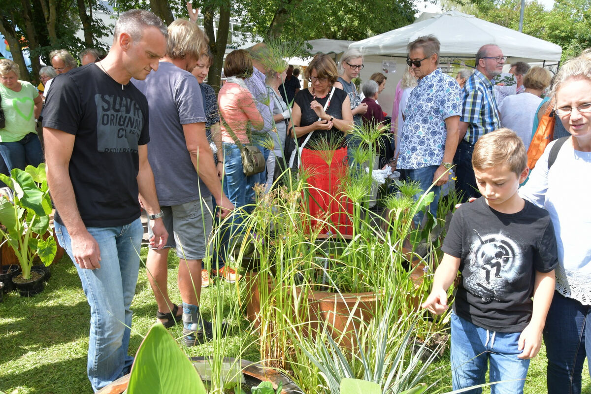 rosenmarkt_moessingen_meyer_2018_18