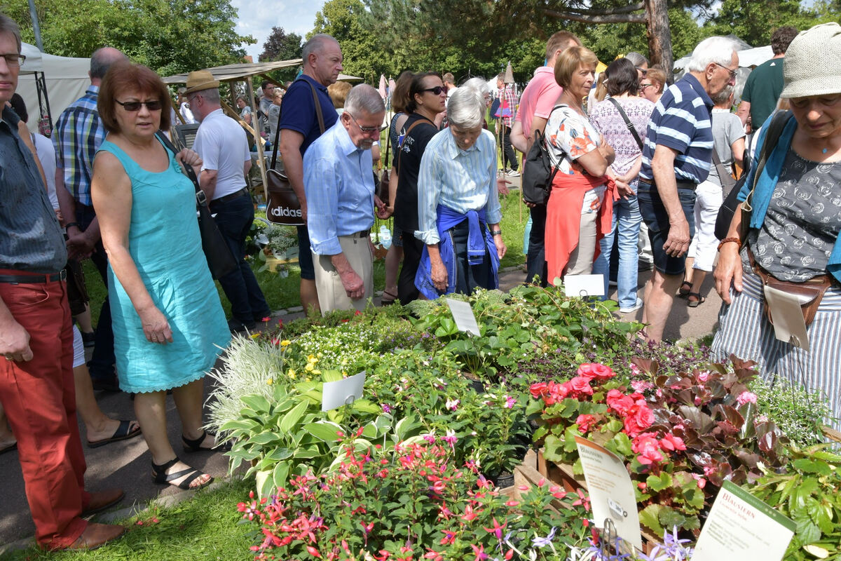 rosenmarkt_moessingen_meyer_2018_19